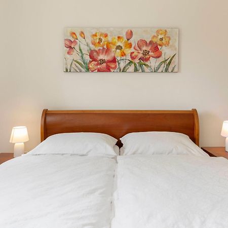 卢布尔雅那Cozy Garden Flat公寓 外观 照片